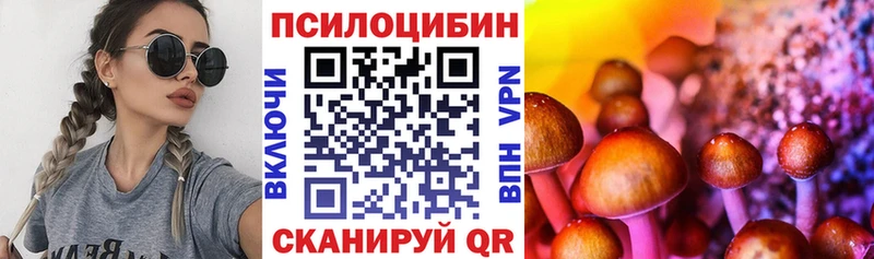 купить  цена  Калуга  мега ссылки  Псилоцибиновые грибы прущие грибы 