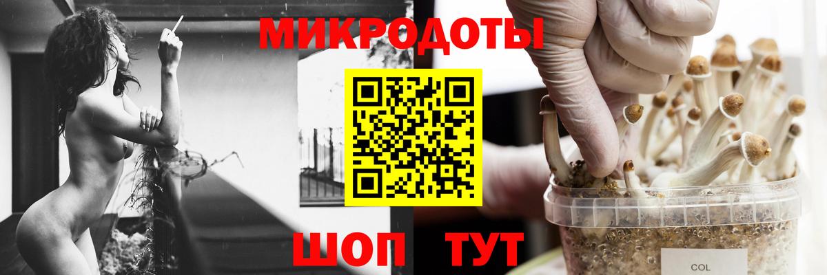 Псилоцибиновые грибы Psilocybe  Вход с VPN  Калуга  Галлюциногенные грибы GOLDEN TEACHER 