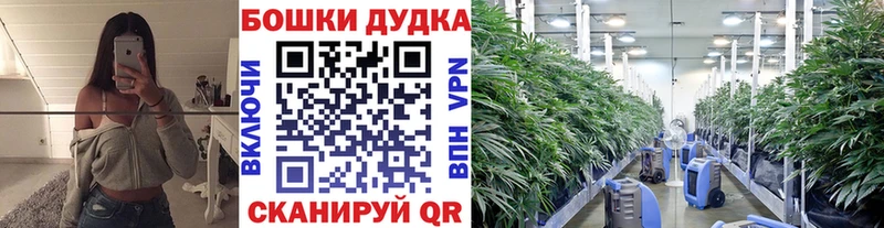 Канабис Bruce Banner Калуга